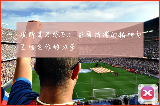 埃斯基足球队：奋勇拼搏的精神与团结合作的力量