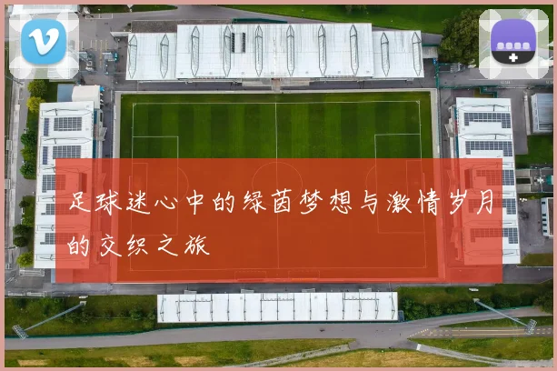 足球迷心中的绿茵梦想与激情岁月的交织之旅